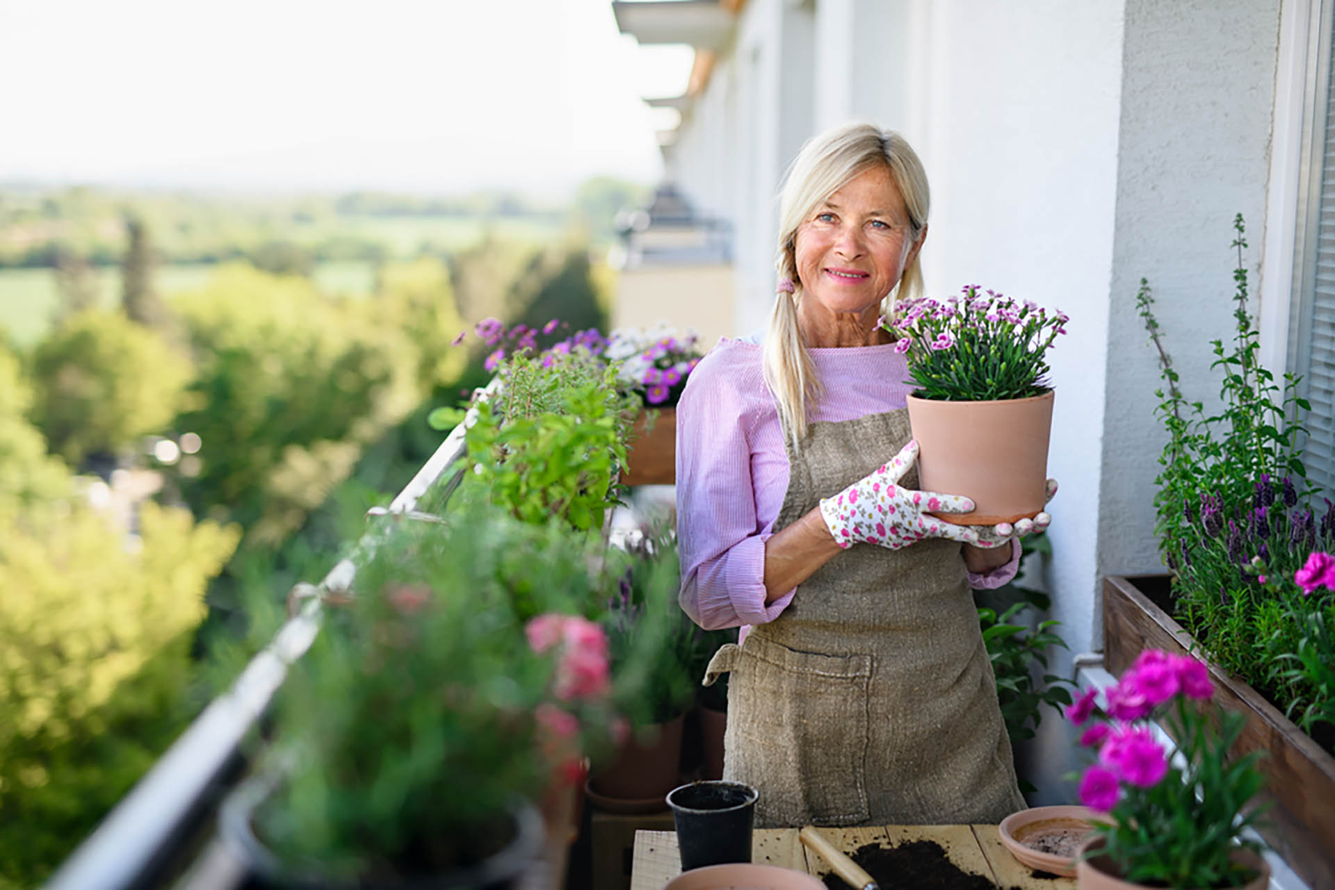 A Guide to Apartment Gardening for Retirees gardening balcony